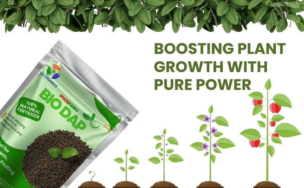 Bio-DAP Fertilizer